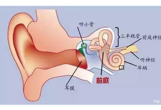 人为什么会晕车如何坐车才不会晕答案都在这里！