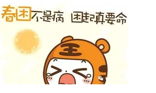 15项实用汽车保养小技巧