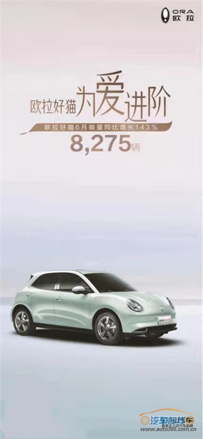 乘风破浪，为爱进阶 欧拉好猫6月畅销8275辆，同比劲增143%